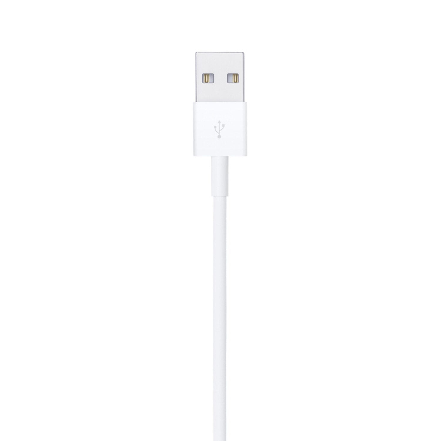 Apple USB-C to Lightning 3 ft Cable White