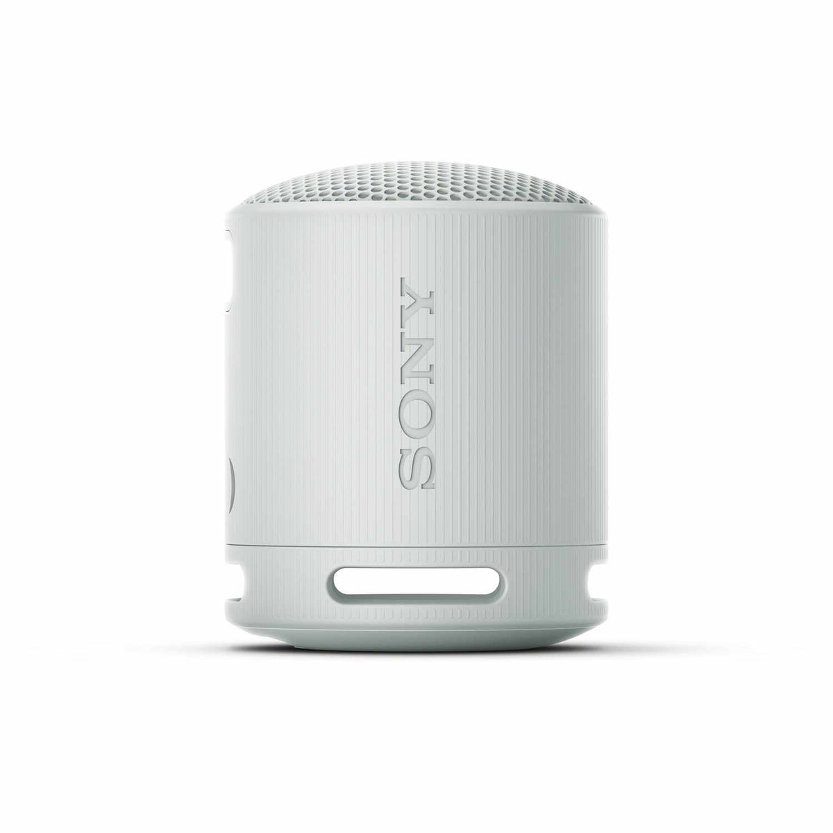 Sony Portable Wireless Speaker Gray Grey