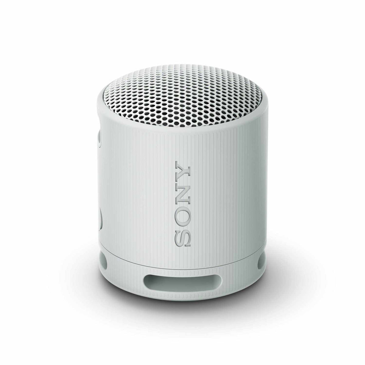 Sony Portable Wireless Speaker Gray Grey