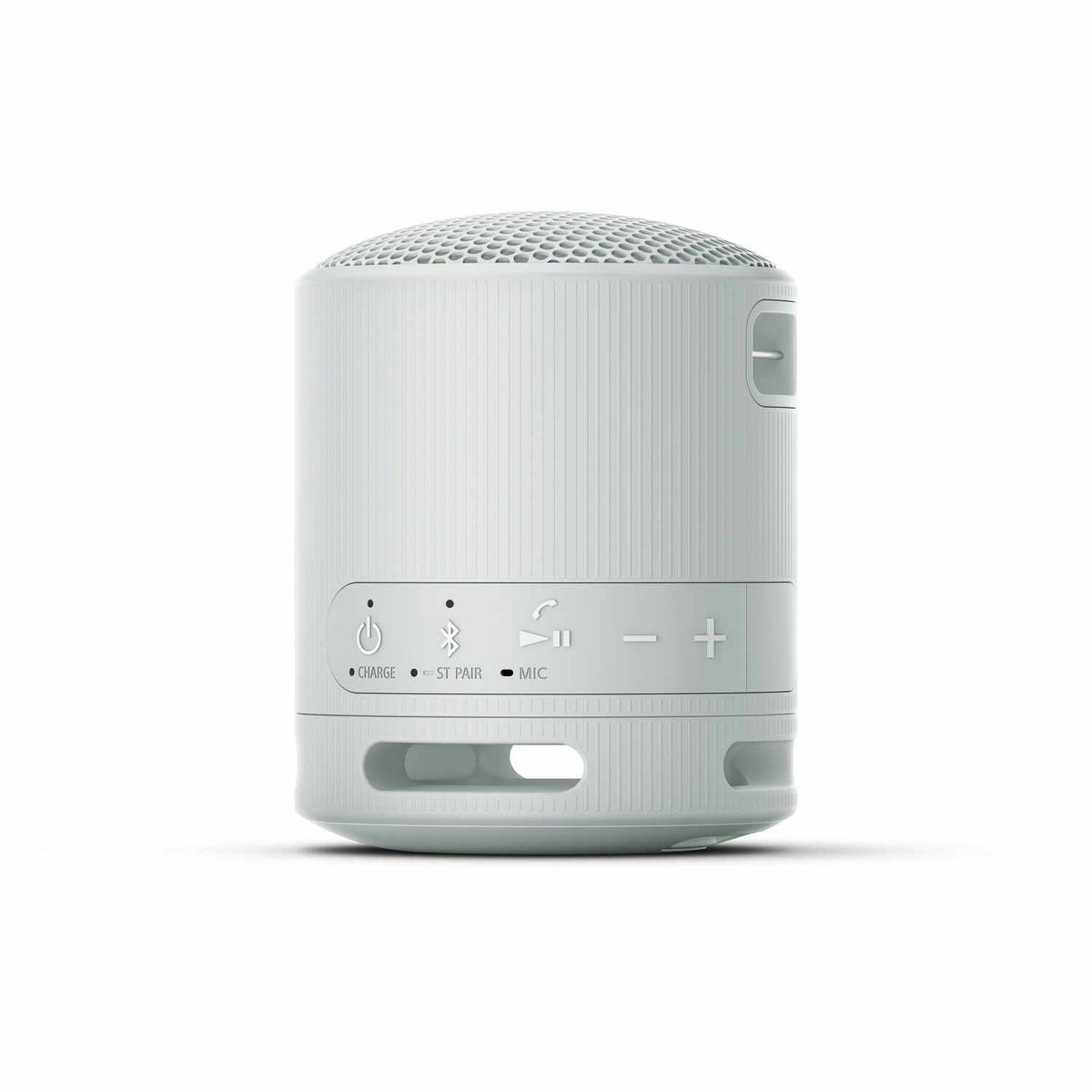 Sony Portable Wireless Speaker Gray Grey