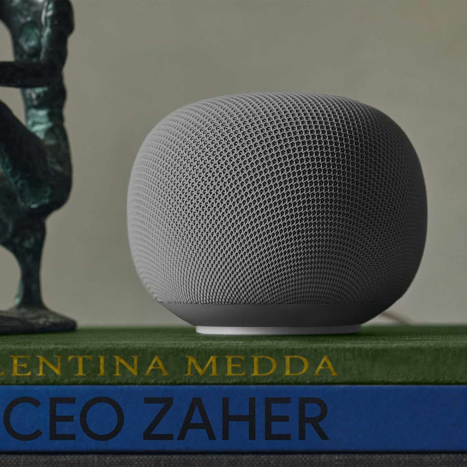 Google Home Speaker Hazel